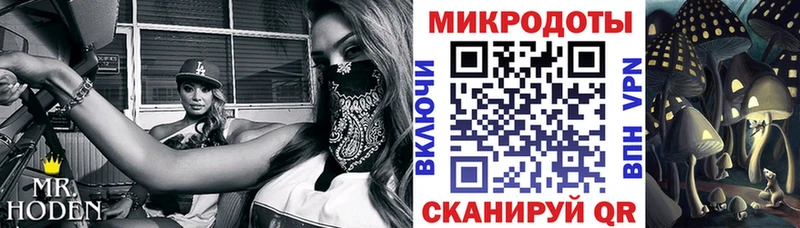 Галлюциногенные грибы прущие грибы  Ельня 